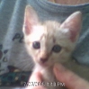 Picture 14.jpg Picture 14.jpg